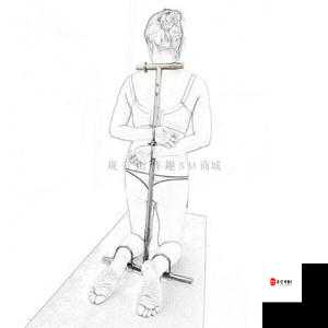 男男罚跪夹玉势 sm 调教：探索未知的性癖好