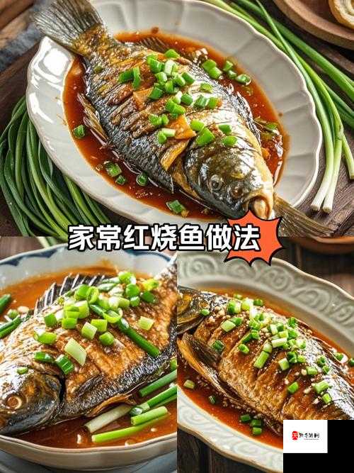 摩尔庄园红烧鲤鱼做法大公开!手残党也能零失误的保姆级教程